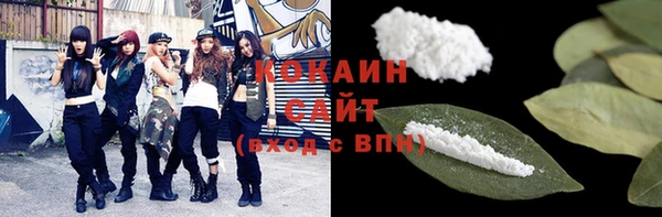 индика Касимов