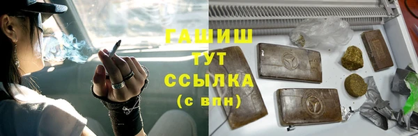 индика Касимов