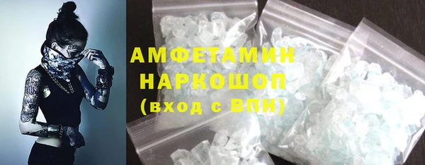 индика Касимов