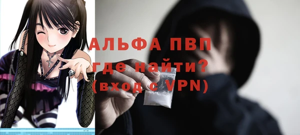 индика Касимов