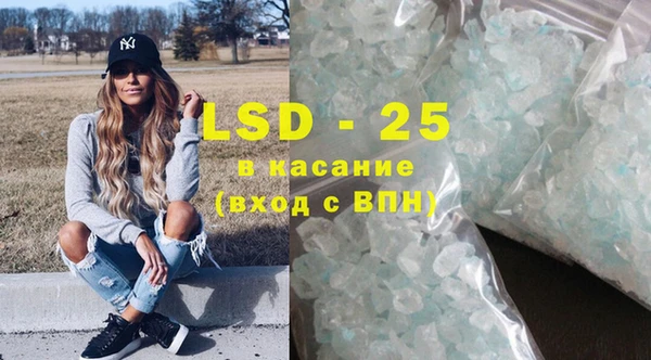 индика Касимов