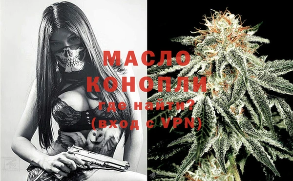 индика Касимов