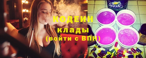 индика Касимов