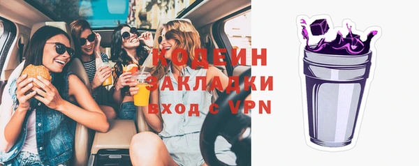 индика Касимов