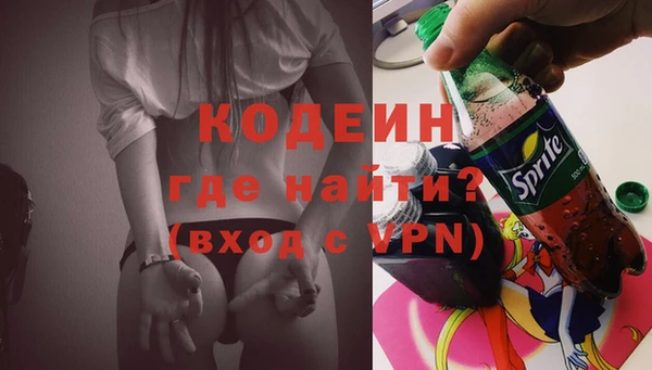 индика Касимов