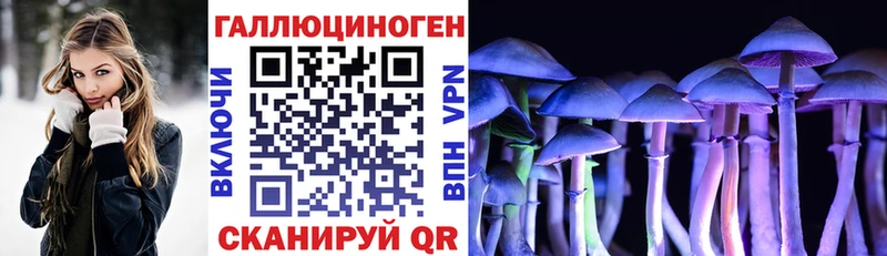 Псилоцибиновые грибы Psilocybe  MEGA вход  Фурманов 
