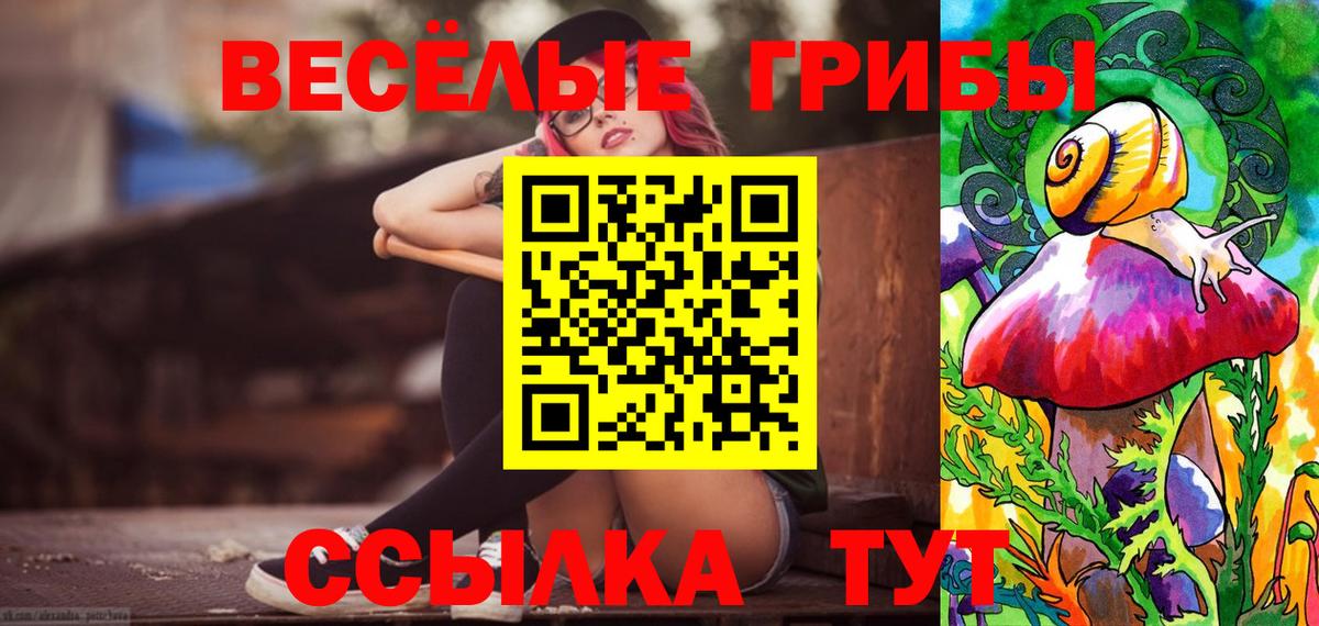 Галлюциногенные грибы Psilocybe  Фурманов 