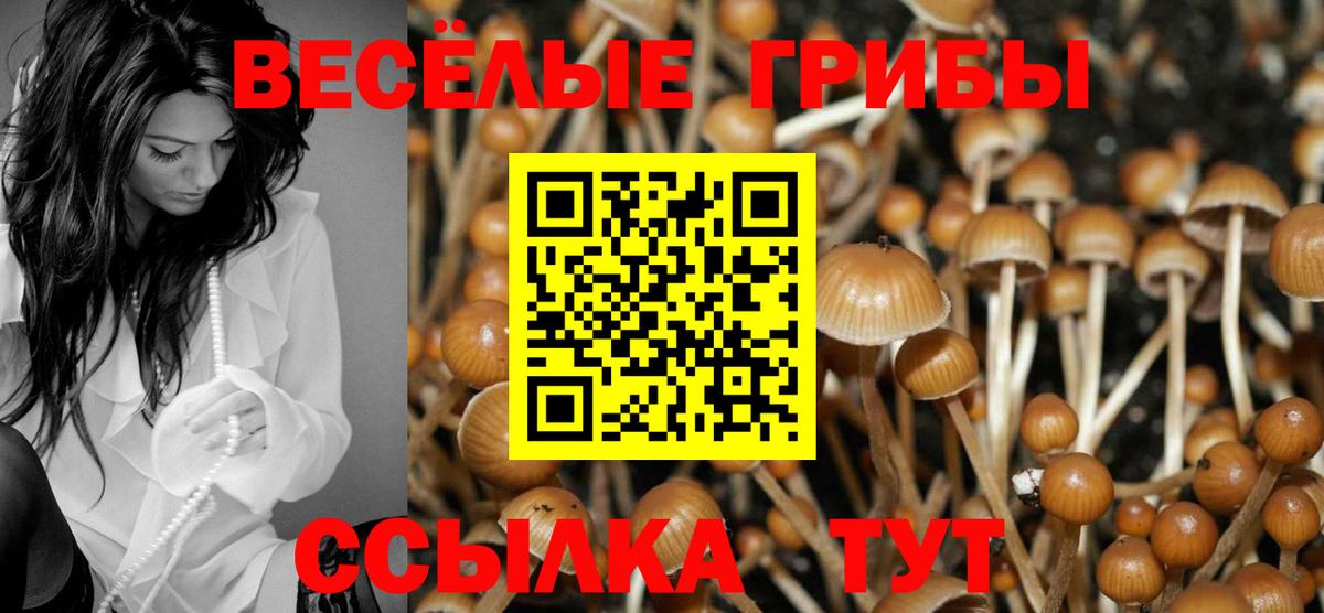 Фурманов  закладки  Псилоцибиновые грибы Psilocybe  Вход с VPN  Псилоцибиновые грибы мицелий 